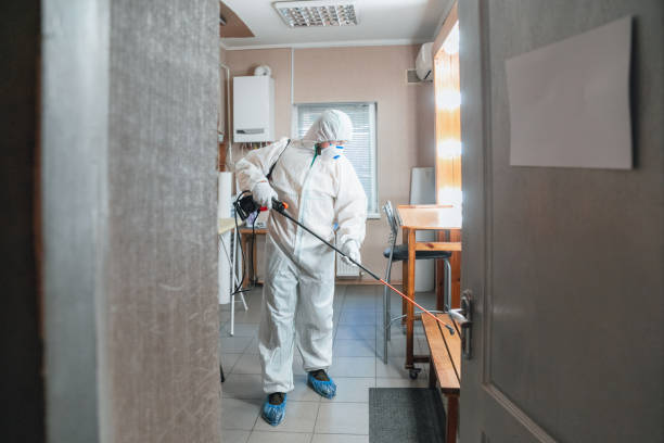 Best Mold Removal for HVAC Installations  in Jacinto City, TX