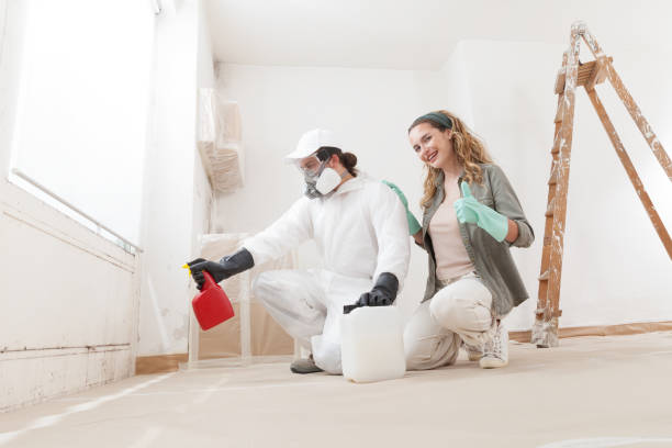 Best Forensic Mold Investigation  in Jacinto City, TX