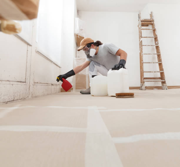 Best Industrial Mold Remediation  in Jacinto City, TX